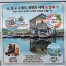 남대천카페 | [여행] 양양 여행 최고의 순간! 남대천 수상레포츠센터 & 카페 둔치 전동보트 후기