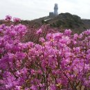 2019-주089 이미지