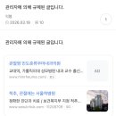 냥슐에 머 서치하는데 규제된 글이 잇는거야 이미지