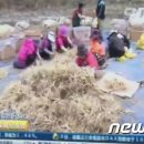 중앙인삼 이미지