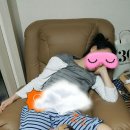 프불하우스 이미지