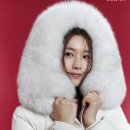 영트랜드컬렉션 이미지
