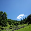 조나단목장 이미지