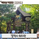 고릴라PC방 | 에버랜드 사파리를 달린다고? 🦒 갤럭시워치런 @사파리런 러닝, 동물 후기