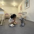 오늘도 댕댕 이미지