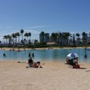 와이키키 이미지