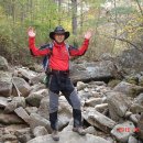 서울영양 이미지