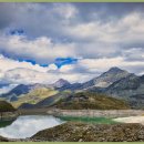 모성약국 이미지