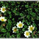 고향산천슈퍼 이미지