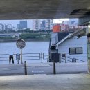 4월4일 금요일 압구정로데오 토끼굴 출사공지 이미지