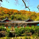 신흥사 - 중구 | 신흥사