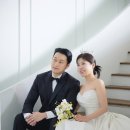 살로토 이미지