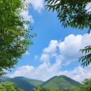 [청도여행]섶마리휴양마을(대구,부산근교 놀만한곳)