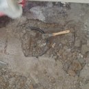 신양아파트 | 진천 신양 아파트 누수탐지 및 보수공사 후기