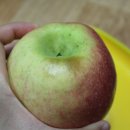 선홍농장 이미지