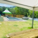 논산애견 이미지