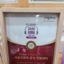 시그니아 독일보청기 이미지