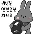 모터피플