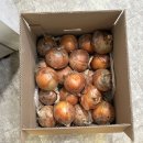 정아수퍼 | 고영일상 2024년 하반기