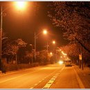 아리아리(주)