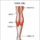 모두의근육
