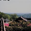 필름35 이미지