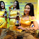 OB맥주 이미지