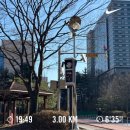 세움치과의원 | 스위치온 다이어트 3일차(요거트 폭식 후기/플라이밀 단백질 쉐이크 초코, 녹차/산본 치과 추천)