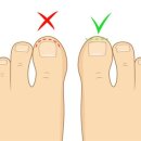 로에성형외과의원 이미지