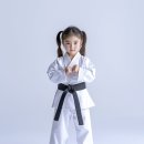 리틀타이거 태권도 이미지