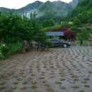 평창강펜션 이미지