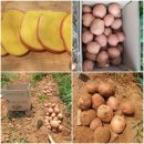 석화산농장 이미지