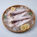 크린푸드 이미지