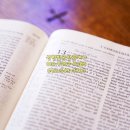 신한빛 공인중개사 사무소 이미지