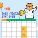 동탄키움치과의원 네이버블로그