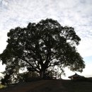 대산북로 이미지