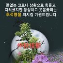 영동타이어 이미지