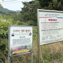 명옥헌정원1(주차장) | 담양 명옥헌 배롱나무 | 개화 시기 확인하고 가세요, 백일홍 후기