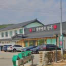 강원도 속초 벚꽃길 가성비 점심특선 설악산로한우 맛집