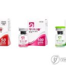 조은희본테라피