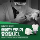 이-라인치과기공소 이미지