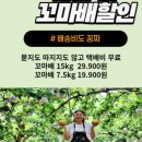 강남농원 네이버블로그