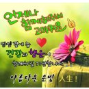 🍒9월23일 (월)강원방 출석부 이미지