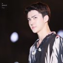 밥이조아 이미지