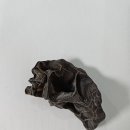 김제농장 이미지