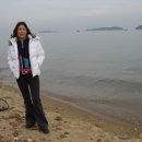 서해바다 이미지