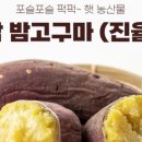 영남알프스식품 이미지