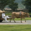 소달구지 - 중구 퇴계로4길 28 | 소달구지
