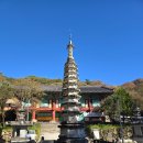 전라도양곡 | 경남 하동편 - 쌍계사 &amp; 화사별서 그리고 섬진강...