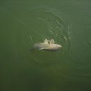 신애낚시터 이미지